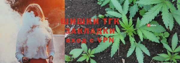 хмурый Зеленокумск