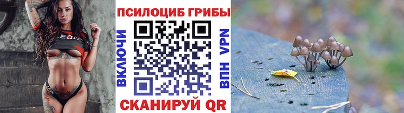 Псилоцибиновые грибы Psilocybe  Купить где  Искитим 